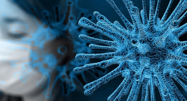 Immagine che raffigura Emergenza Coronavirus - uffici chiusi